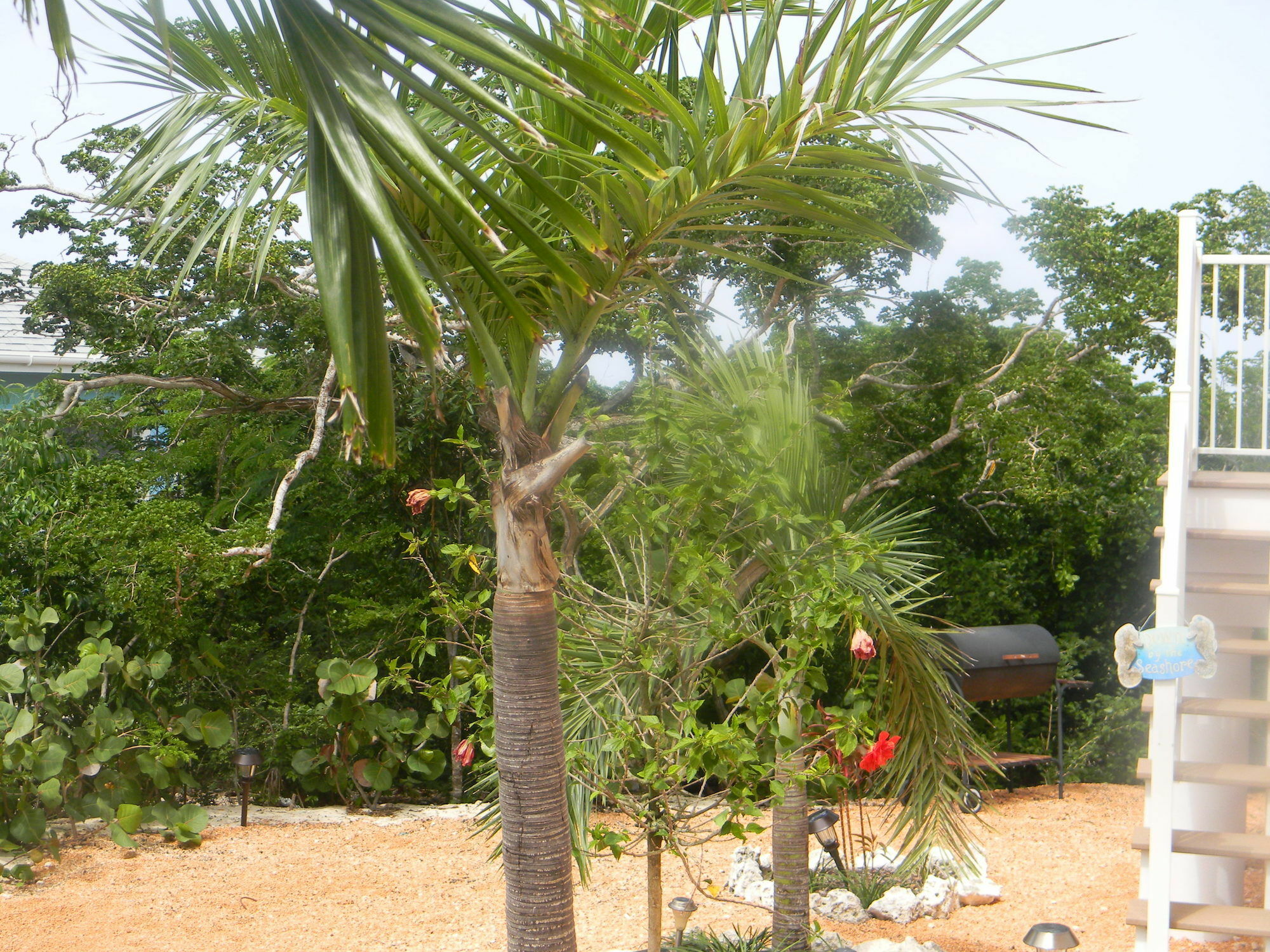 Harbor Breeze Villas Clarence Town Kültér fotó