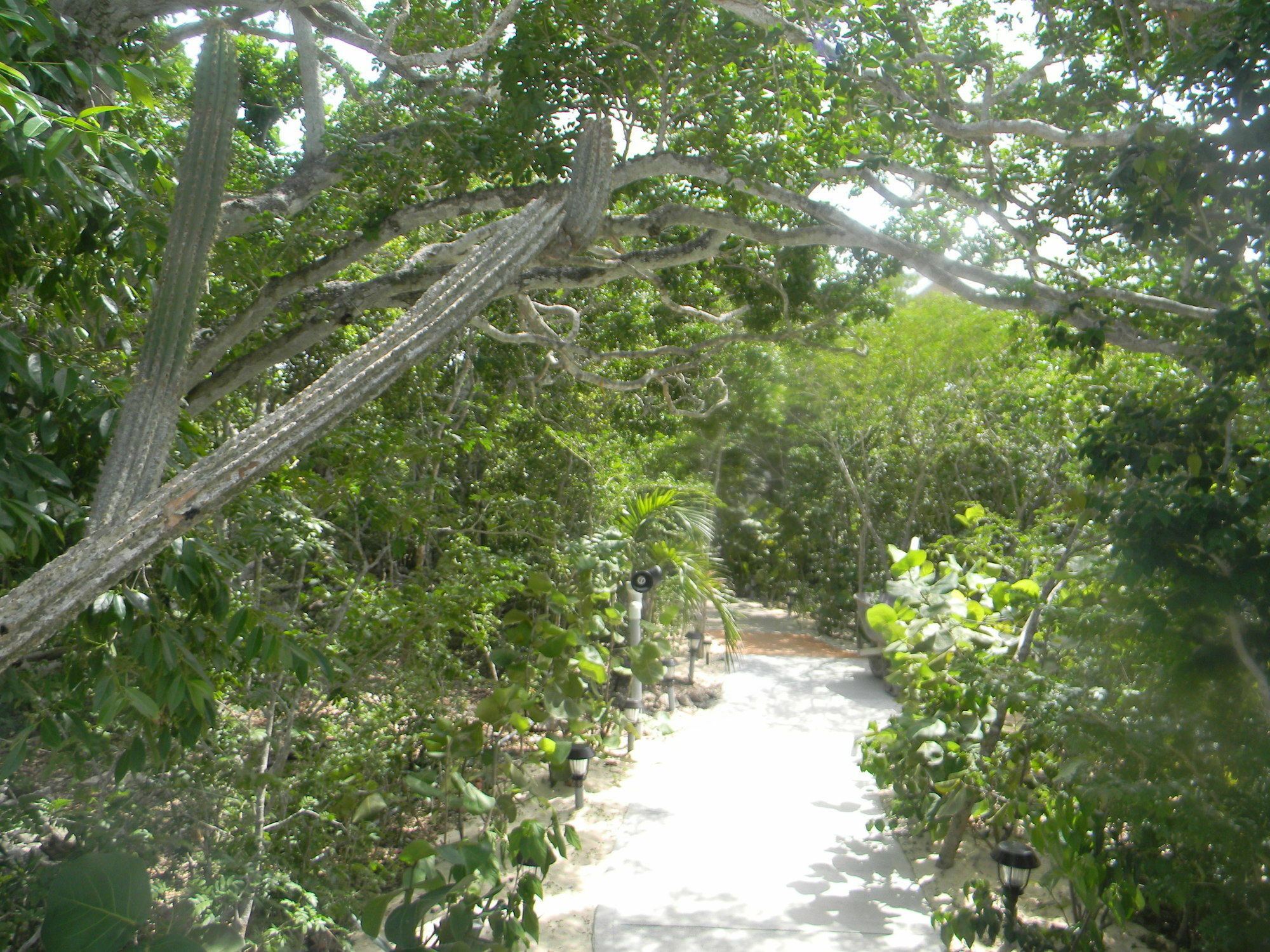 Harbor Breeze Villas Clarence Town Kültér fotó