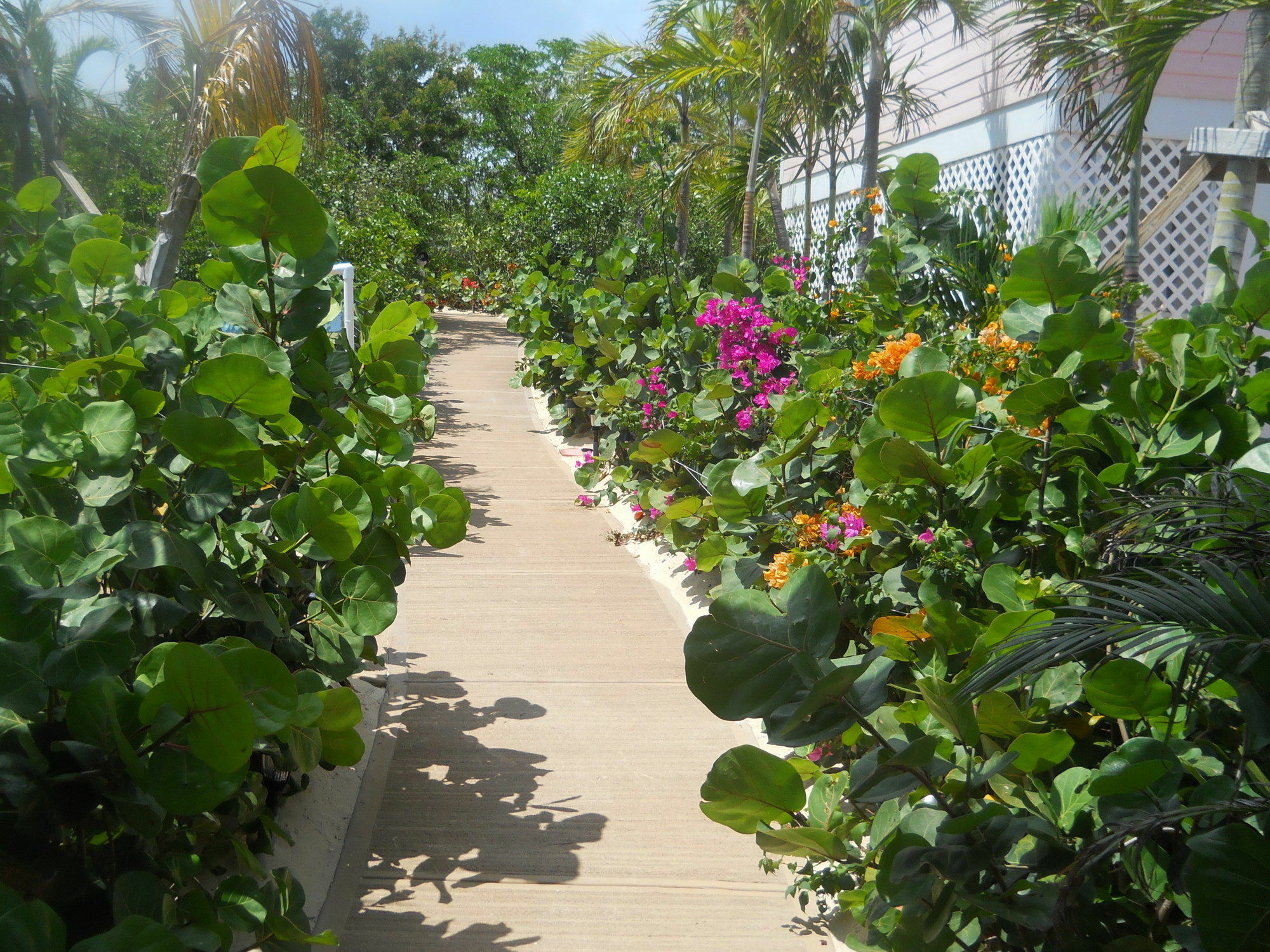 Harbor Breeze Villas Clarence Town Kültér fotó
